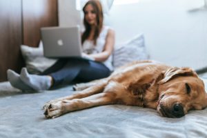 a dog and owner laying in bed