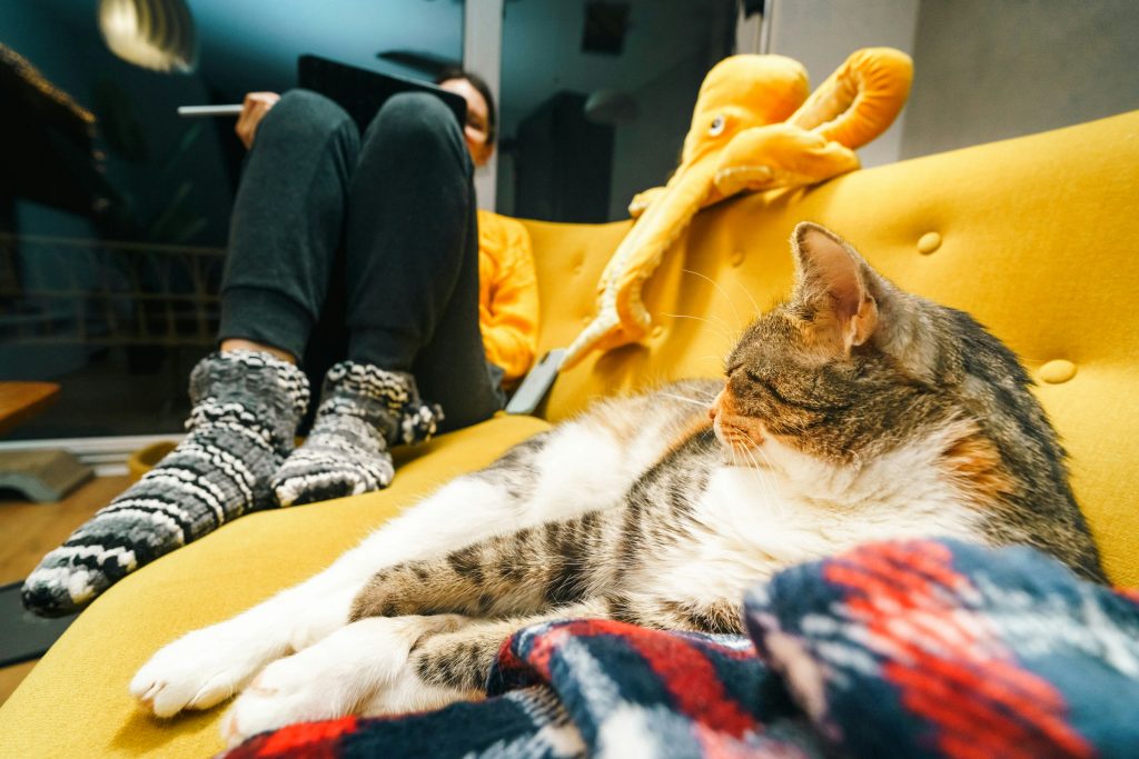cat and owner sitting on couch - pet-proof your apartment