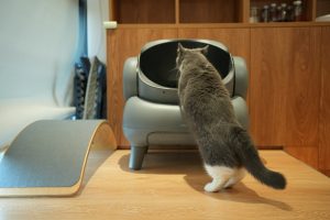 cat going into automatic litter box - affordable pet gadgets