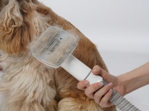 a vacuum head full of dog hair