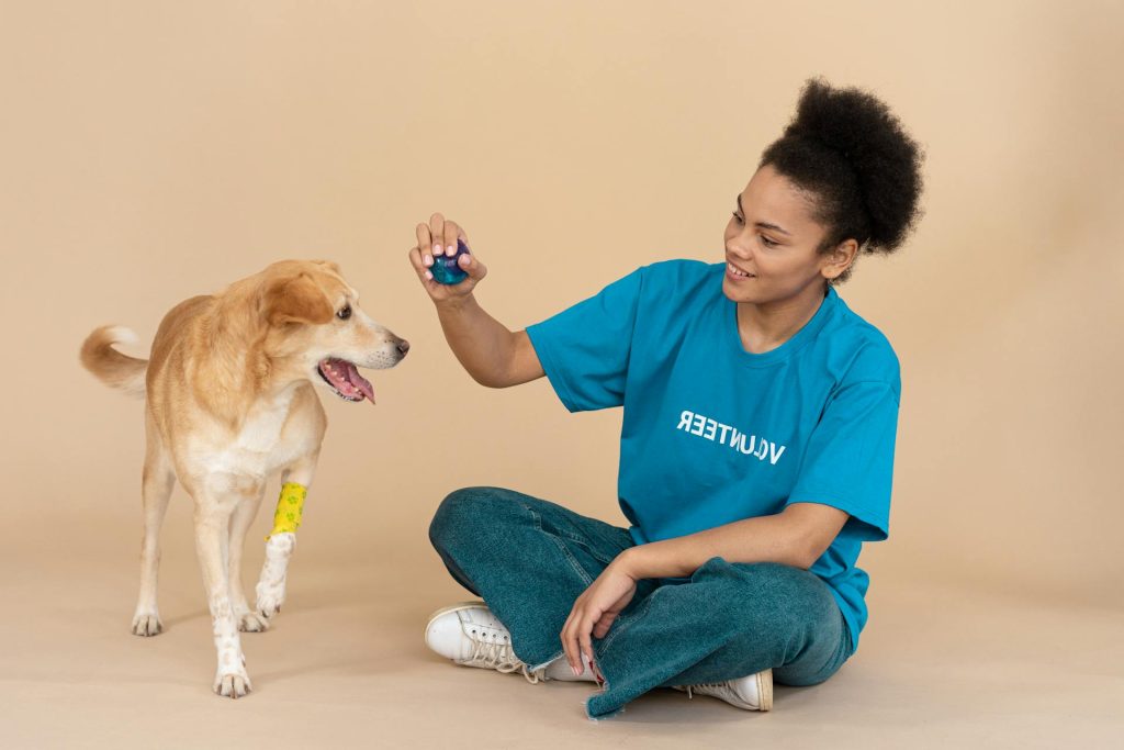 A Woman Playing with her Pet Dog - pet first aid tips