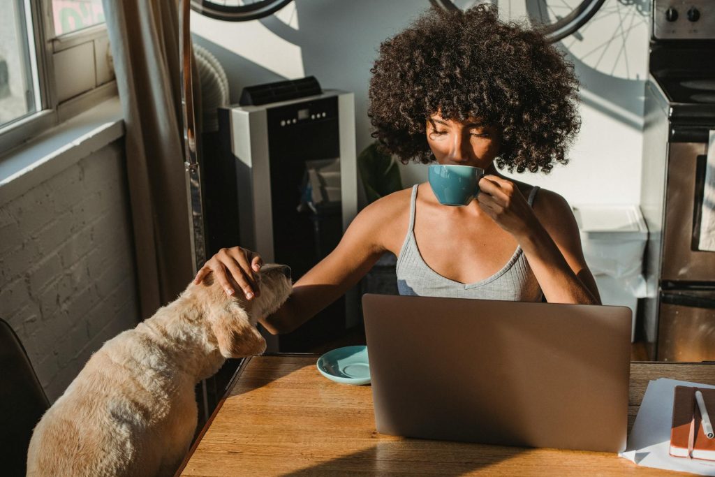 dog sitting at table with owner - pet proof a rental