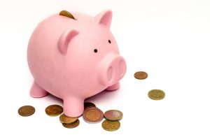 a piggy bank - pet budgeting for apartment owners