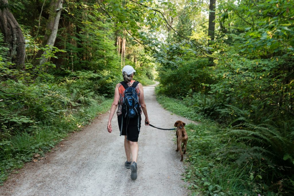 dog and owner walking in a forest - dog walking tips for apartment dwellers