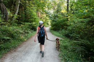 dog and owner walking in a forest - dog walking tips for apartment dwellers