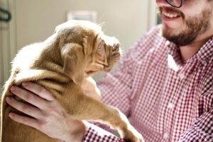 man holding a puppy - prepare your apartment for a new puppy