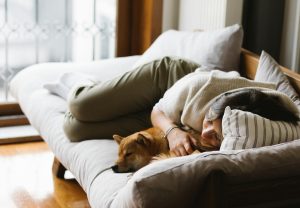 Woman in Knit Shirt Lying on Bed beside a Brown Dog - quiet dog breeds for apartments