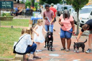 dogs being socialized - apartment dog socialization tips