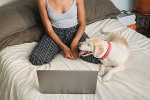 dog panting next to owner - excessive panting dogs indoors