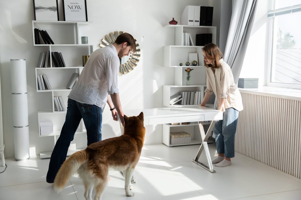 Couple arranging furniture with dog - get pet approval in an apartment