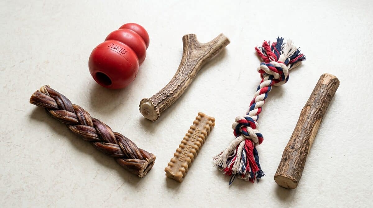 Collection of safe dog chew toys including KONG, antler, bully stick and dental chew