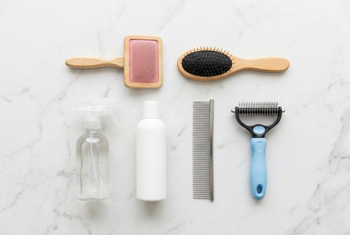 Professional dog grooming tools laid out — slicker brush, metal comb, nail clippers, ear cleaner