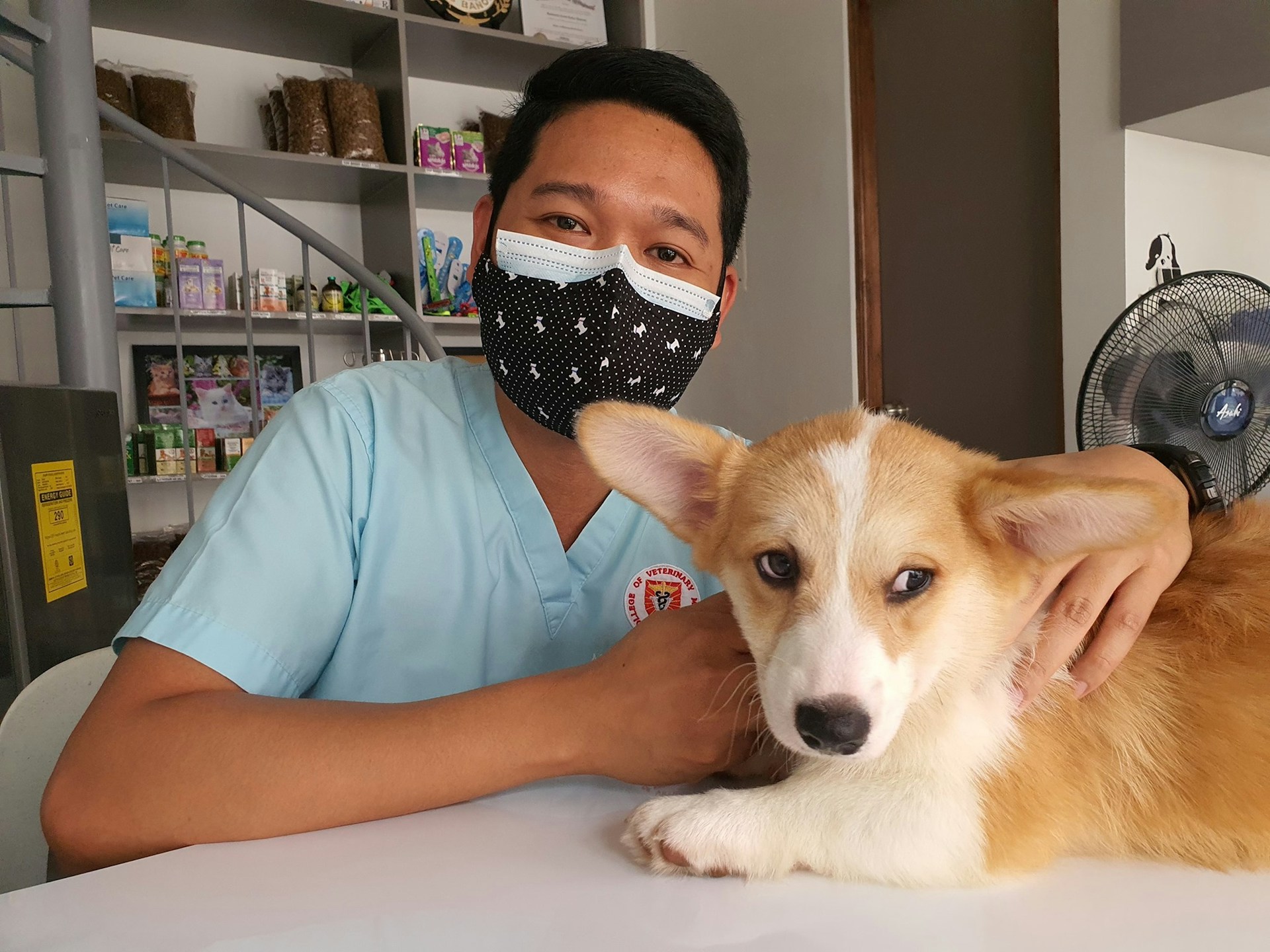 Pet Insurance Statistics 2026